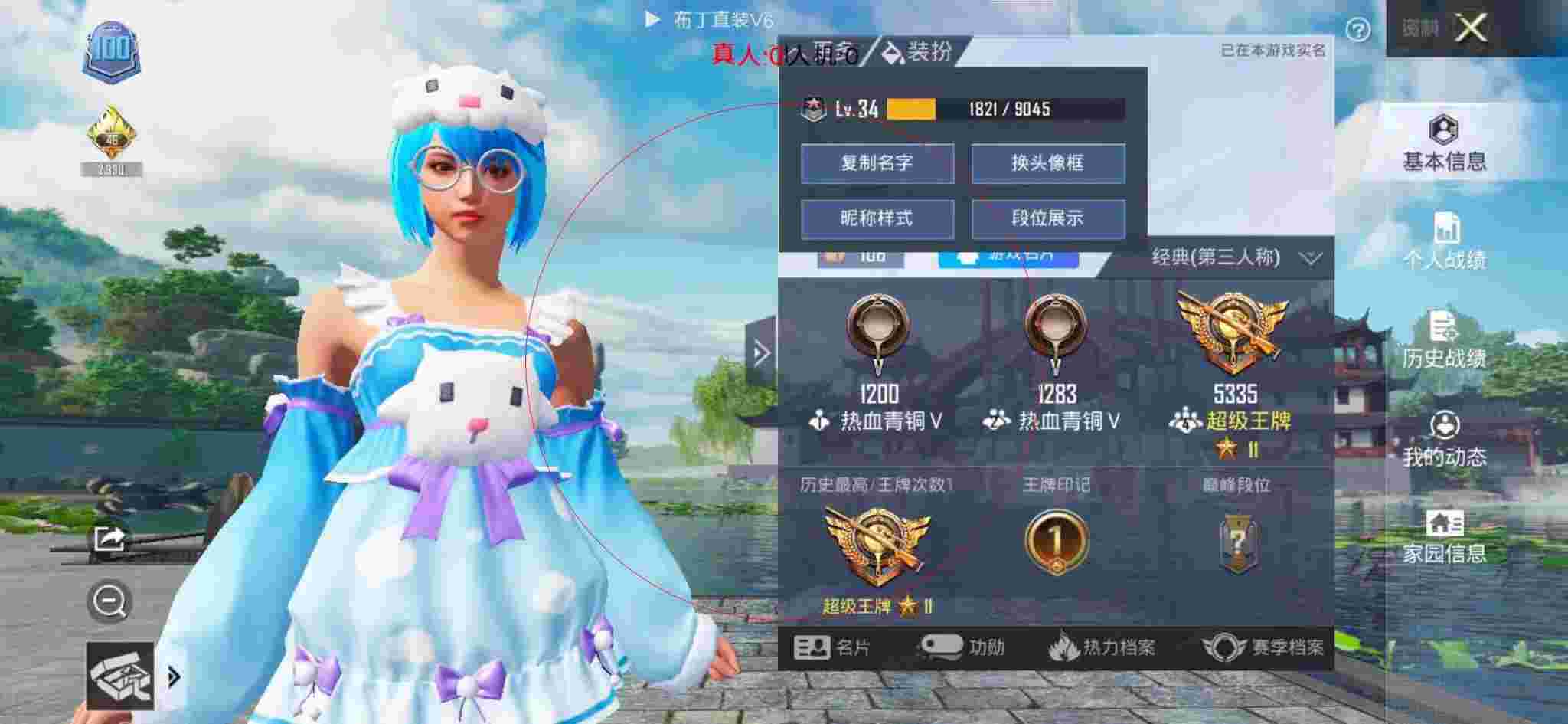 和平精英透视自瞄 - 和平精英叶子辅助辅助预览图